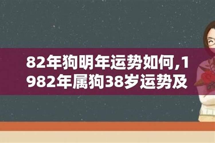 本命年适合盖房不