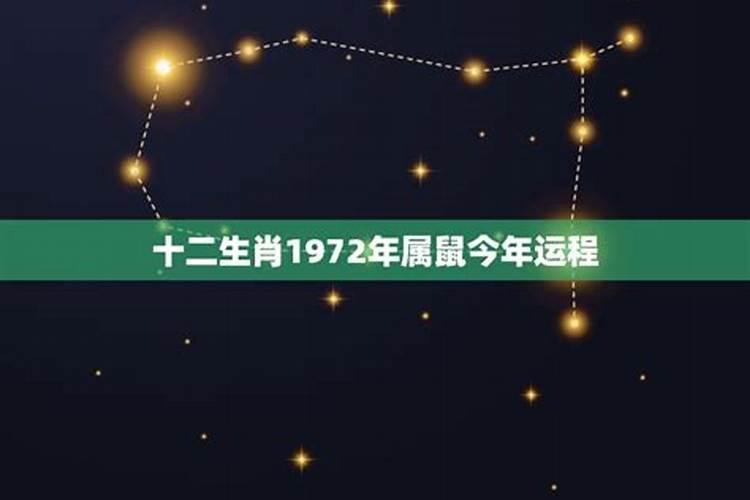 十二生肖1972年属鼠今年运程