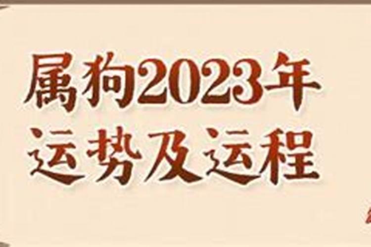 属狗人2023年运势