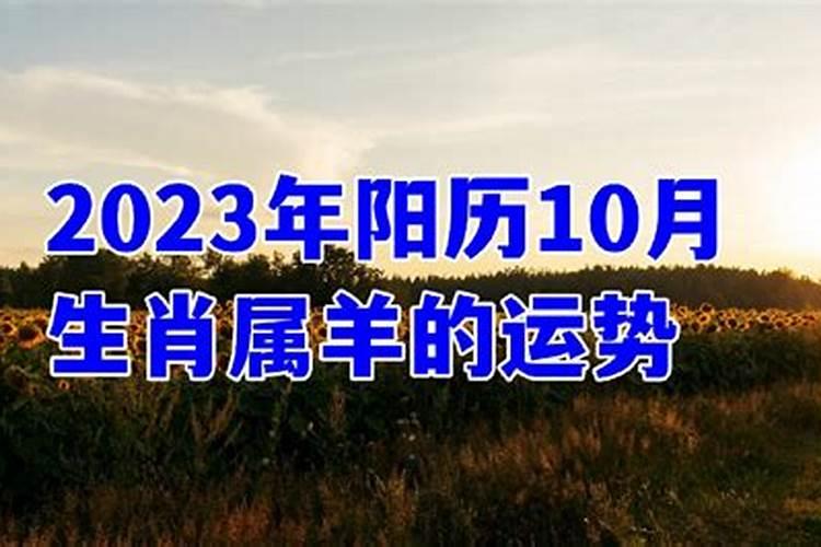 2023年阳历10月出生运势如何