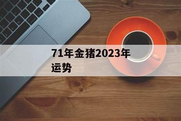 71年属猪金命2023年运程如何