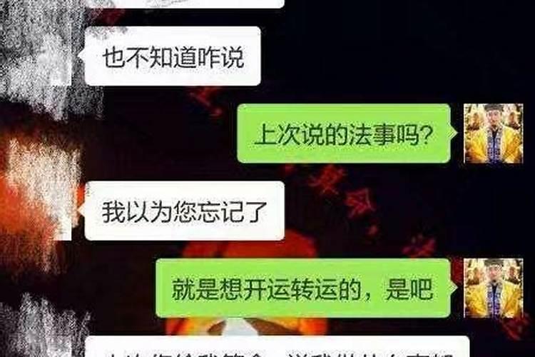 梦到猫生小猫了