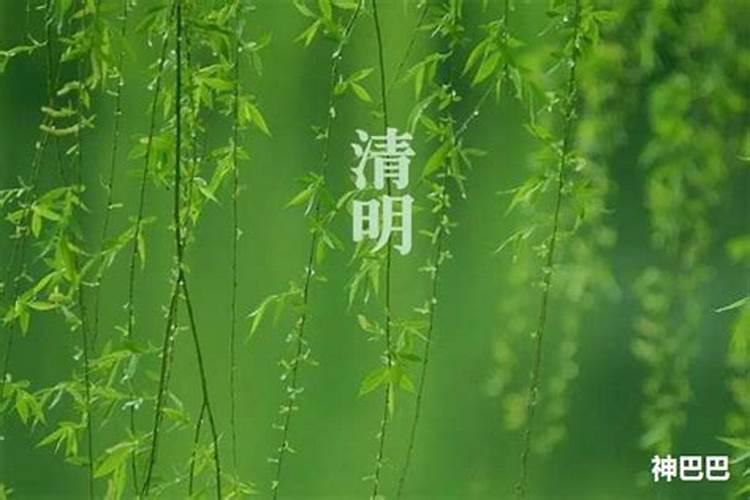 清明节禁忌什么