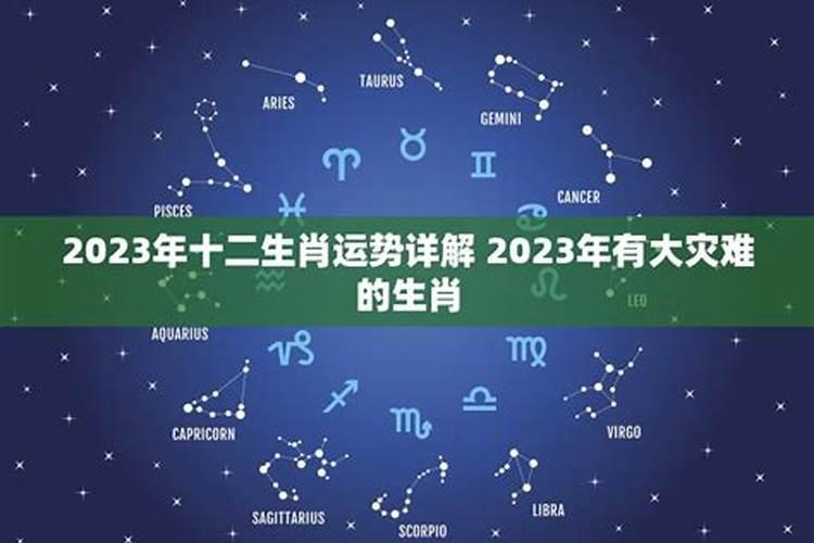 2023年有难的生肖