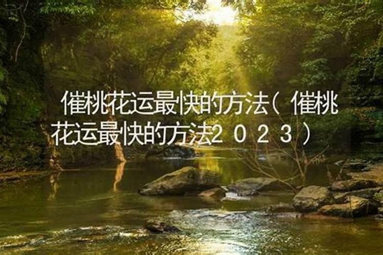 2023农历三月十五生日命运