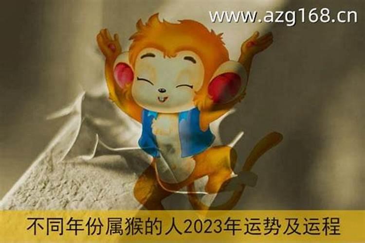 生肖猴在2023年运势