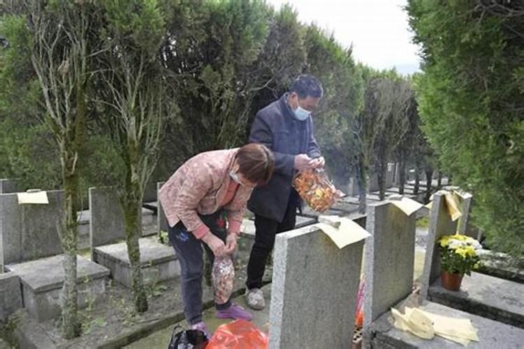 没有到清明节能否祭坟