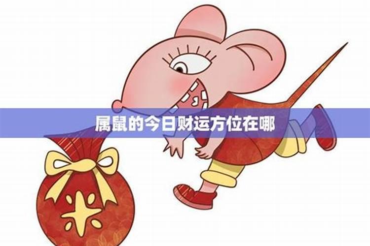 属鼠的今日财神方位