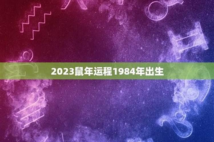 1984年11月10号什么星座