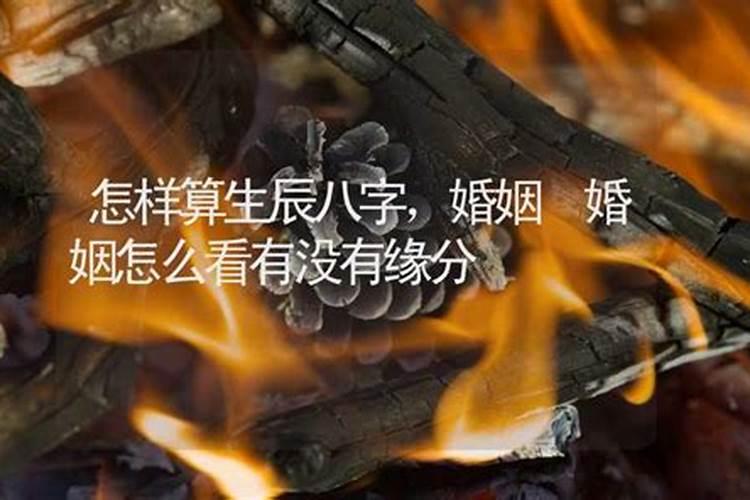 梦见前夫找我回去什么意思