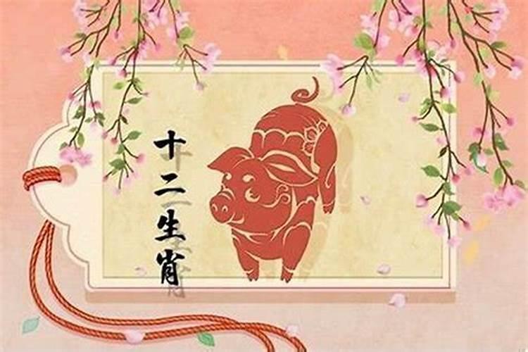 属牛今年婚姻