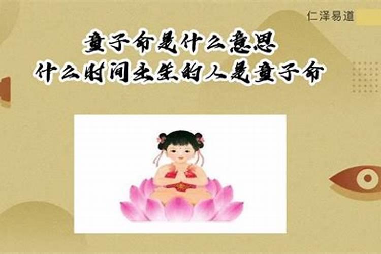 属兔人今年犯太岁怎么化解呢视频解说