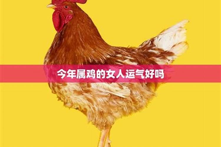 今年属鸡的运气如何2021