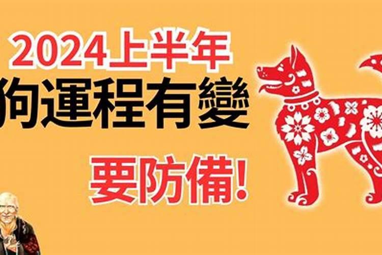 2020年属龙犯什么太岁呢