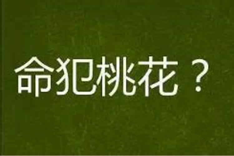 84年4月属鼠一生命运详解