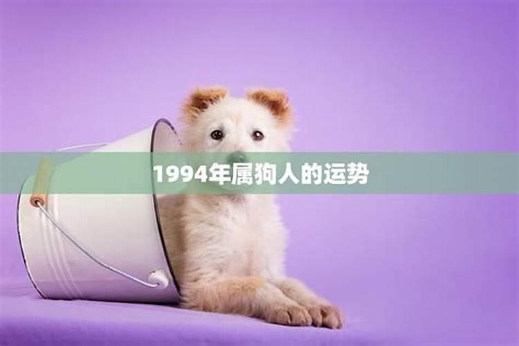 1994的属狗的今年运势