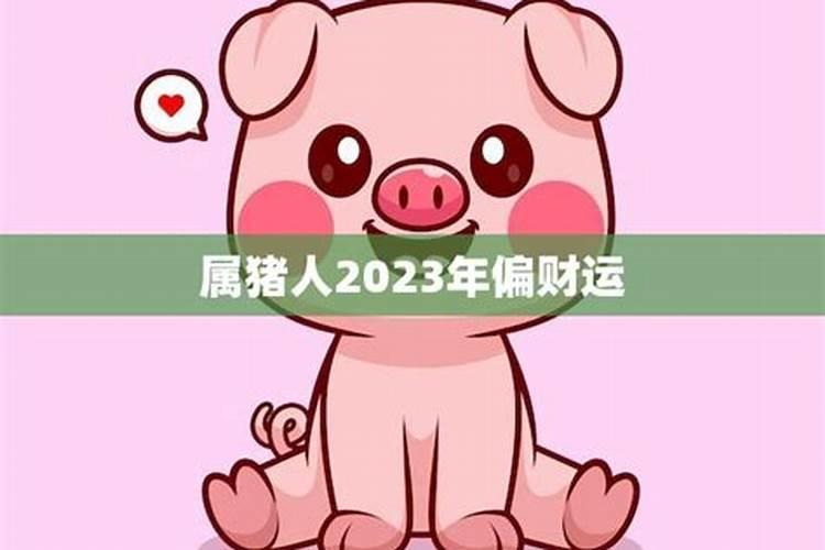 猪人在2023年运势如何