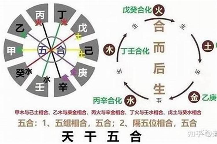 八字哪些天干相合