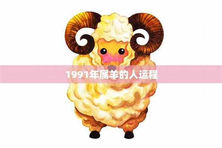 91年运势2023年运势