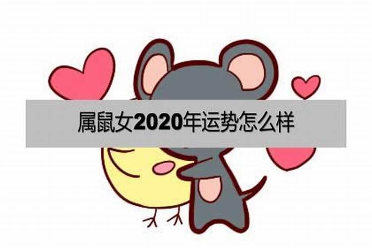 84年属鼠女2022年运势如何