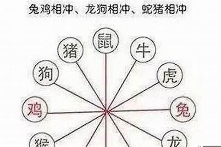 结婚哪些属相相冲