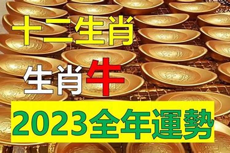 牛年2023年运势及运程