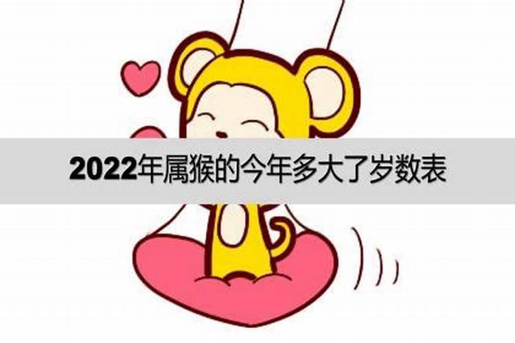 2022年属猴的今年多少岁数了