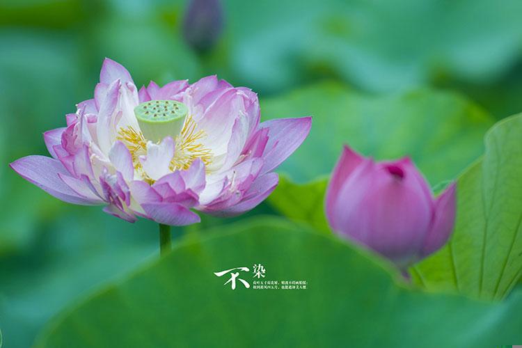 结婚第一年中秋节送礼送几样