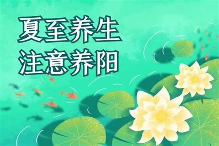 夏至开始注意什么