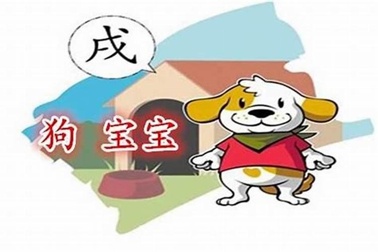 生肖狗5月份出生