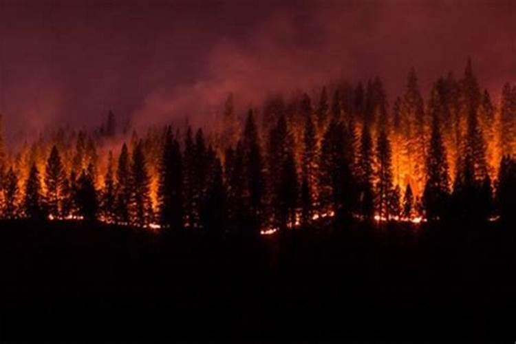 梦见山上着火了是什么征兆