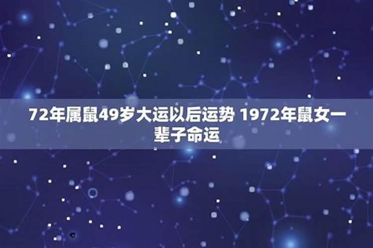 97属鼠人在2024年的全年运势