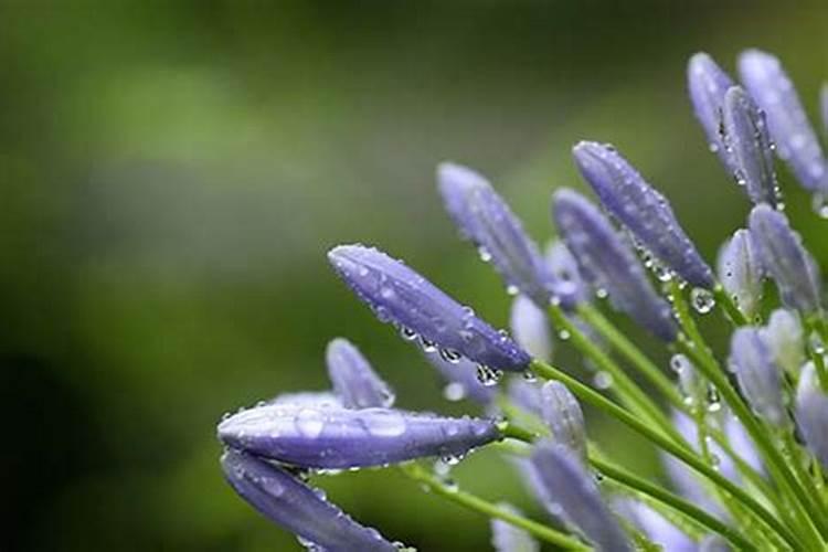 鼠年4月运势