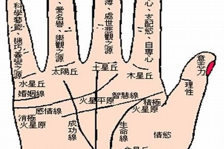 堕胎婴灵名字大全