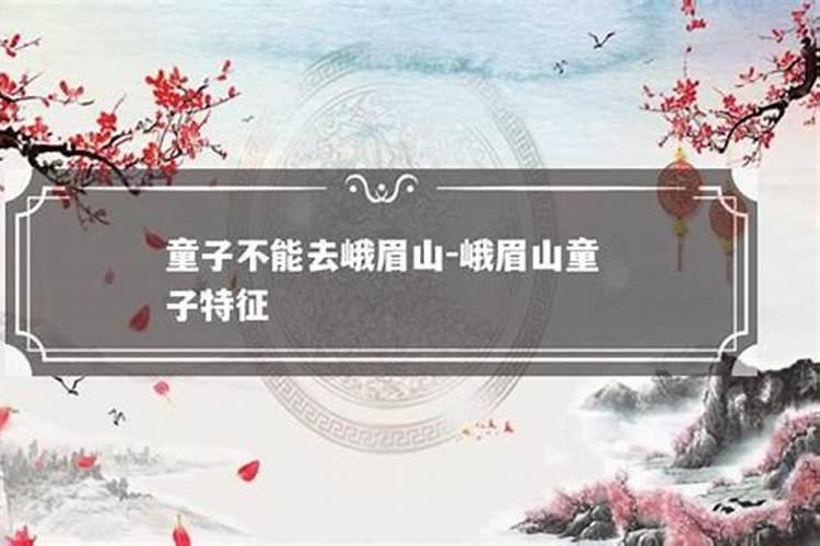 属猪的结婚接亲忌什么属相