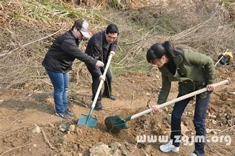 梦见铲土是什么意思啊女人