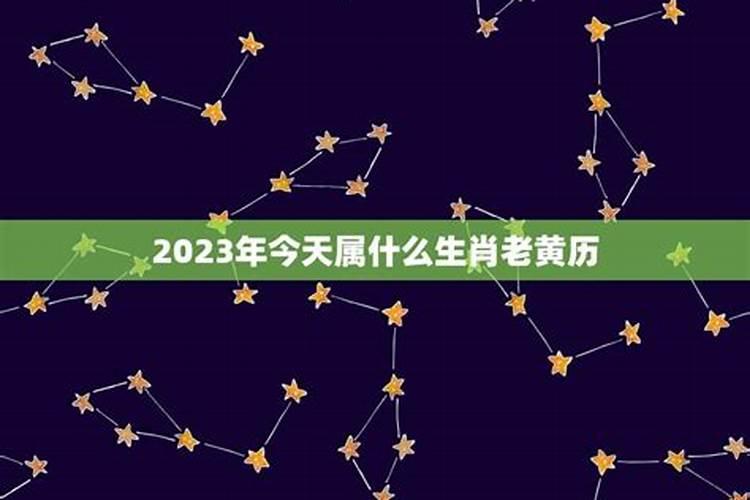 2023今天农历属什么生肖运势如何