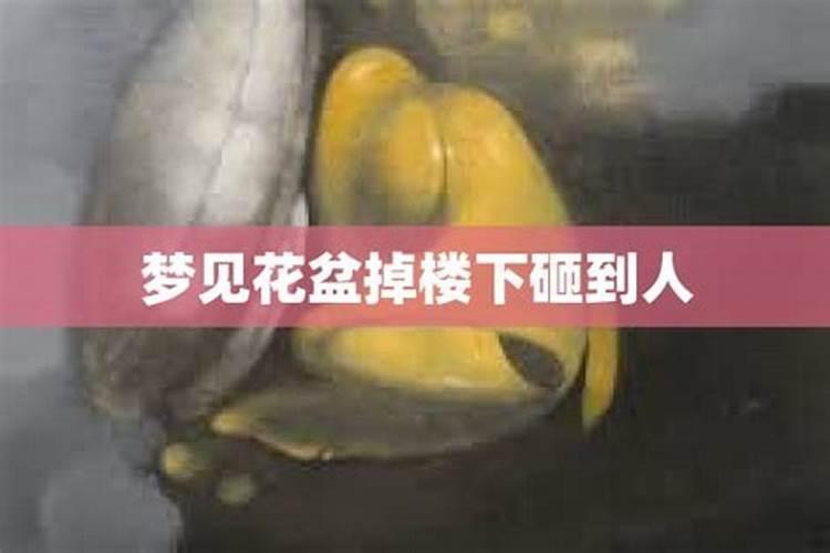 梦见女孩掉楼下死了