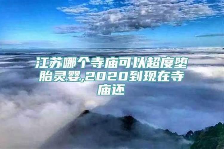 梦见满地乌龟爬是什么预兆吗周公解梦