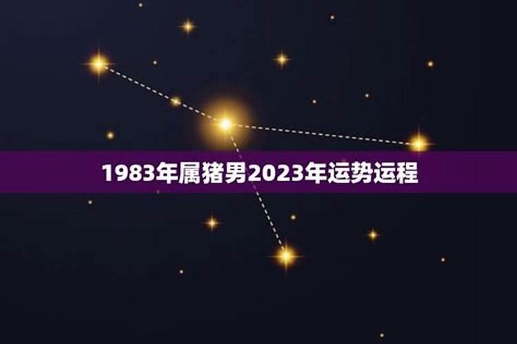 1983年猪在2023年运势及运程每月运程