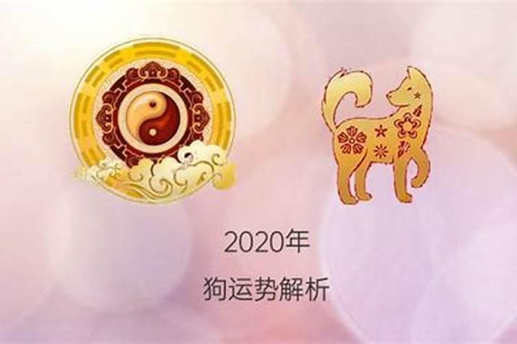 82年5月份的狗2021年运势