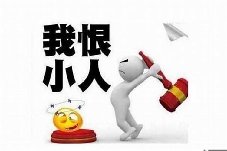 属兔的三合和六个合贵人