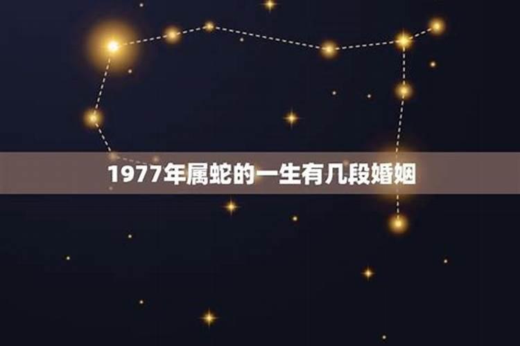 1977属蛇婚姻与命运相配