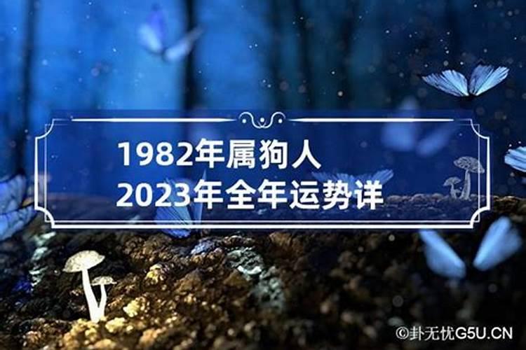 1982属狗女人在2023年运势