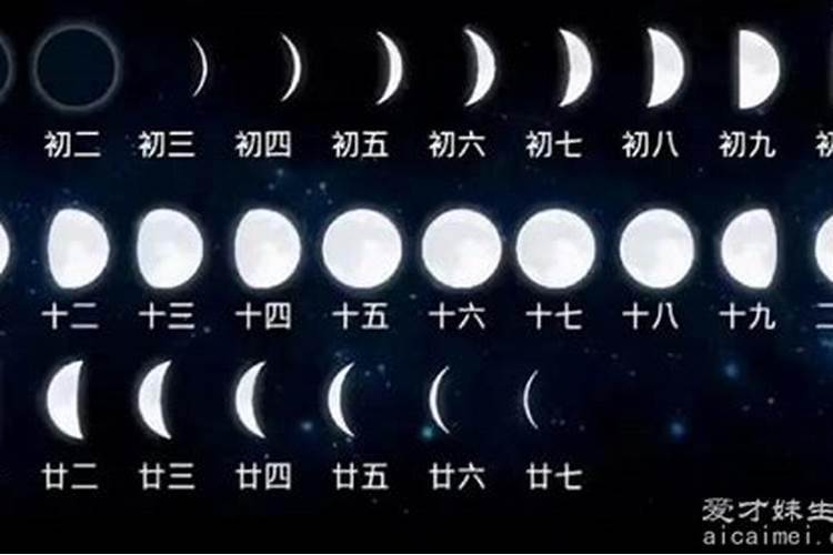 八字排盘星运什么意思