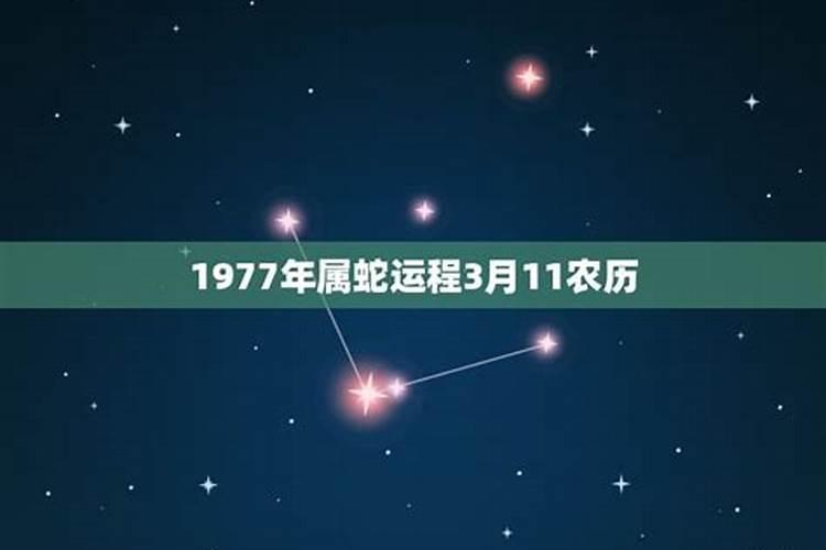 77年11月运势如何