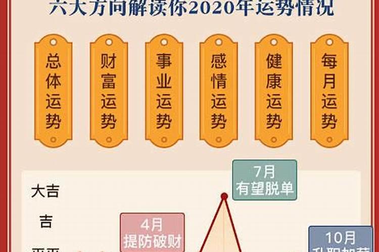 猪在2024本命年的运势如何