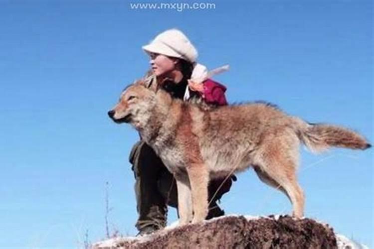 五行缺土的女人命运