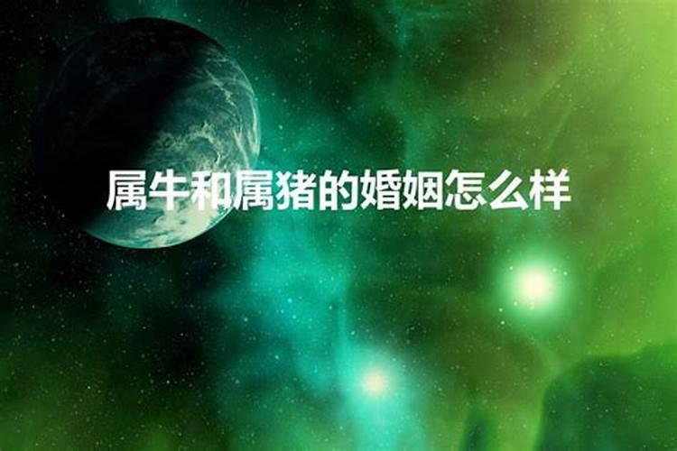 湖北省今天新增病例多少例