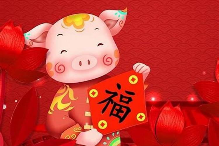 属猪今年11月运势如何